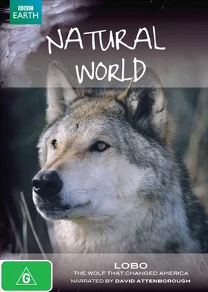 Постер: A Wolf Called Storm