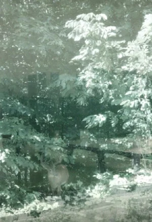 Постер: Weather, There