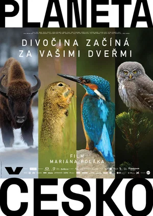Постер: Wilder Than Wilderness