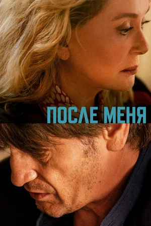 Постер: После меня