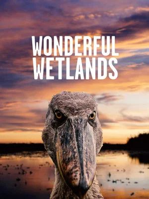 Постер: Wonderful Wetlands
