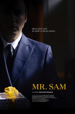 Постер: Mr. Sam