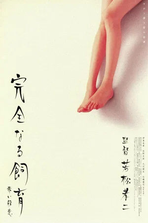 Постер: Perfect Education 6