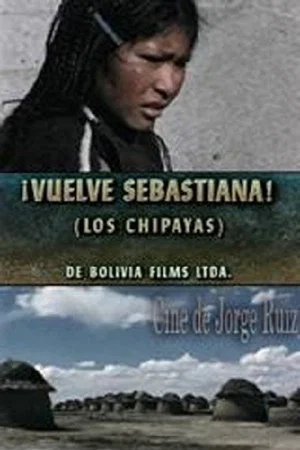 Постер: Come Back, Sebastiana