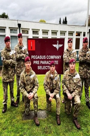 Постер: Pegasus Company