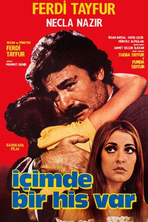 Постер: İçimde Bir His Var
