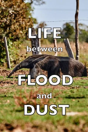 Постер: Life between Flood and Dust