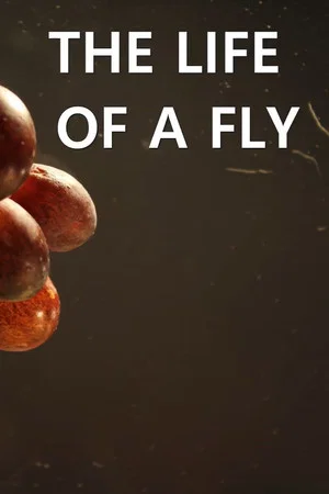 Постер: The Life of a Fly
