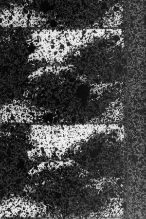 Постер: Signal