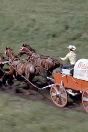 Постер: Chuckwagon