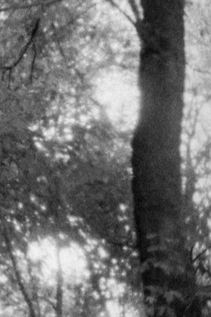 Постер: Untitled 1