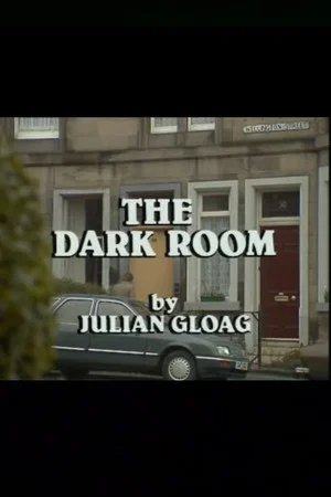 Постер: The Dark Room