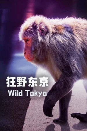 Постер: Wild Tokyo