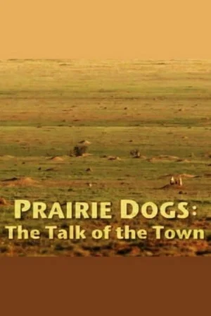 Постер: Prairie Dogs: Talk of the Town