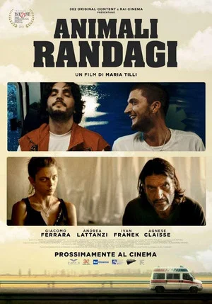 Постер: Animali randagi