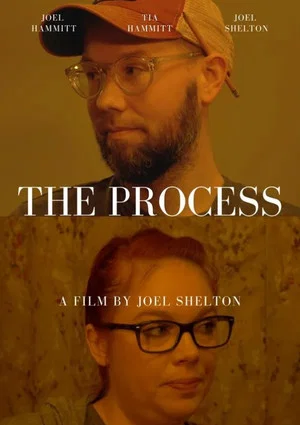 Постер: The Process