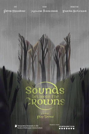 Постер: Sounds Between the Crowns
