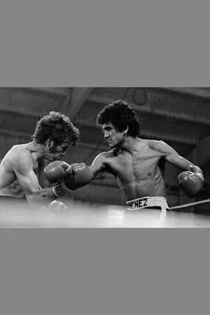 Постер: Salvador Sanchez vs. Danny Lopez I