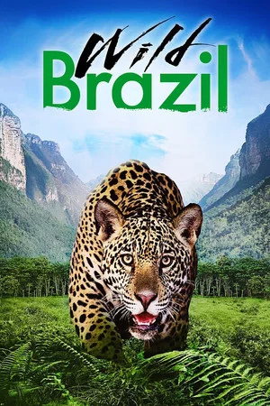 Постер: Wild Brazil