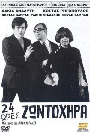 Постер: 24 Hours of Liveliness