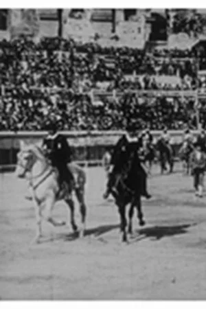 Постер: Course de taureaux, sortie de la quadrille
