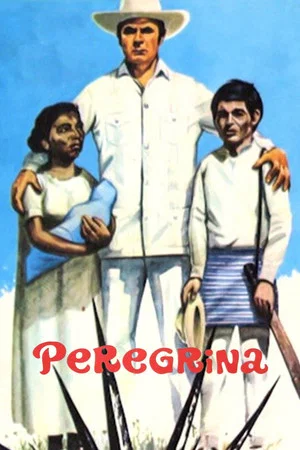 Постер: Peregrina
