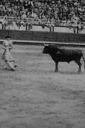 Постер: Corrida profesional Plaza Belmonte
