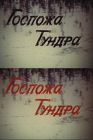 Постер: Госпожа Тундра