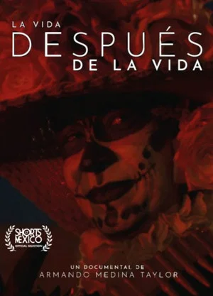 Постер: La Vida Después De La Vida