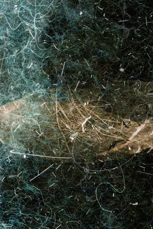 Постер: Dust Poetry