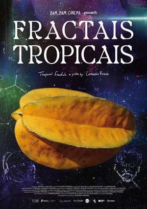Постер: Tropical Fractals