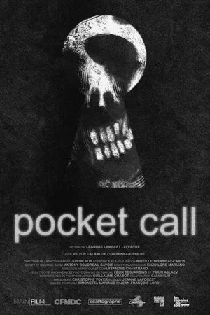 Постер: Pocket Call