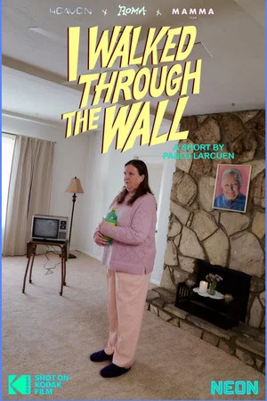 Постер: I Walked Through the Wall