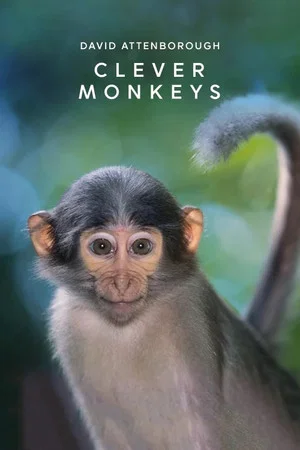 Постер: Clever Monkeys