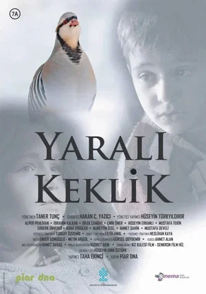 Постер: Yaralı Keklik