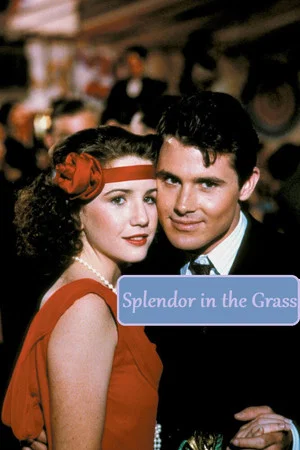 Постер: Splendor in the Grass