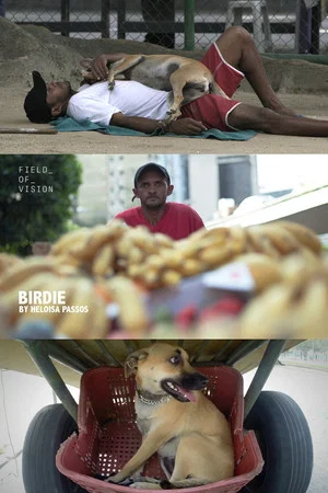 Постер: Birdie