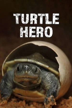 Постер: Turtle Hero