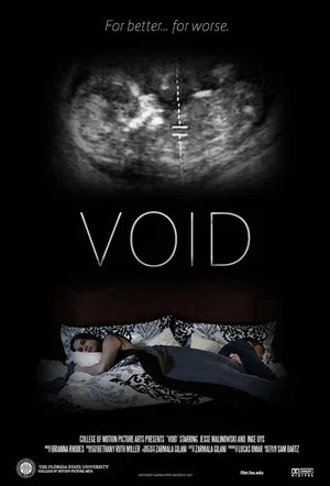 Постер: Void