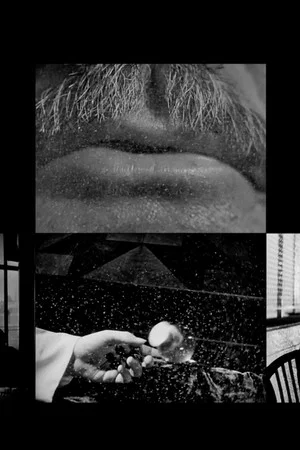 Постер: Cinema Study