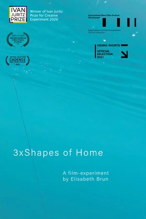 Постер: 3xShapes of Home