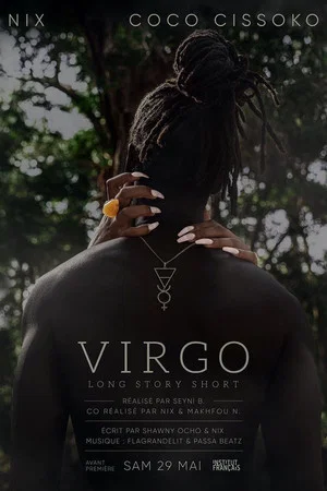 Постер: Virgo – Long Story Short