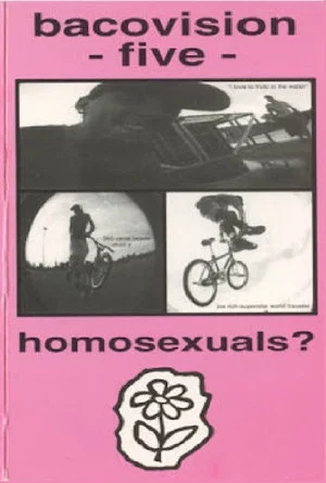 Постер: Bacovision Five: Homosexuals?