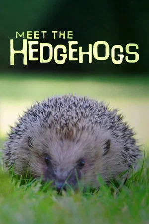 Постер: Meet the Hedgehogs