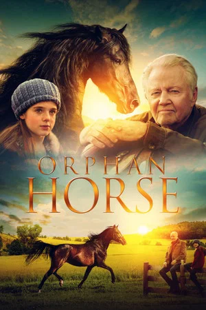 Постер: Orphan Horse