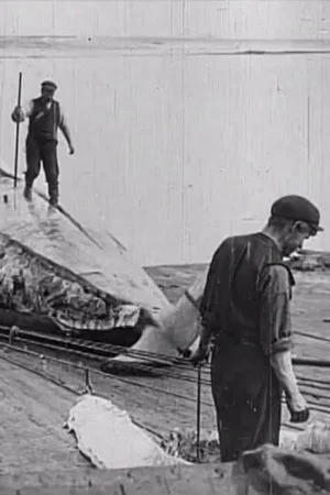 Постер: Whaling Afloat and Ashore