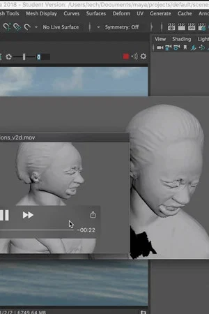 Постер: Ocean Going Figurine