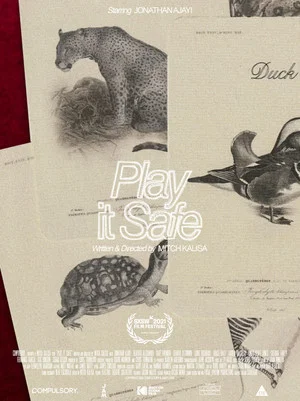 Постер: Play It Safe