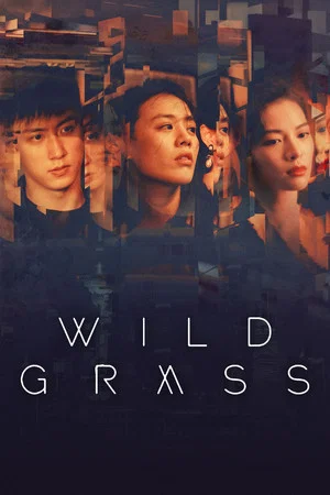 Постер: Wild Grass