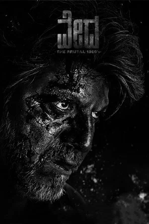 Постер: Vedha
